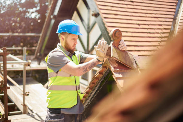 Best Sealant for Roof  in Canton, MS